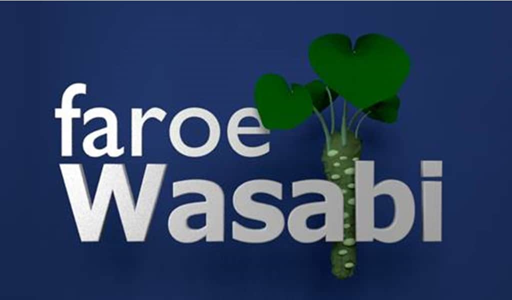 Føroyskt wasabi á Íverksetaradegnum