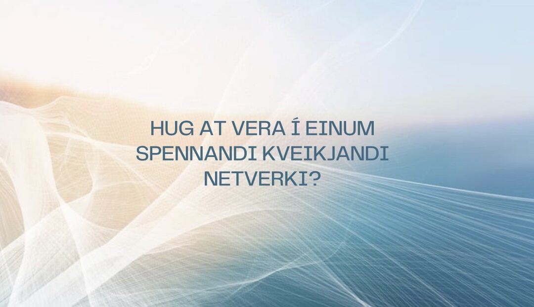 Hevur tú eina fyritøku? – Kom við í Netverkið101010